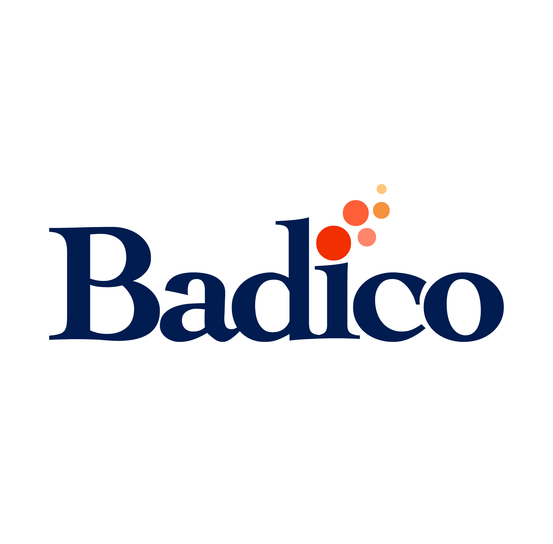 {#badico_logo_full-color_inet}